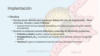 Implantación
• Decidua
• Decidua basal: decidua que queda por debajo del sitio de implantación , tiene
arteriolas, vénulas y vasos linfáticos.
• Posteriormente formara tabiques incompletos y en conjunto producirá la parte materna
de la placenta
• Durante el embarazo secreta diferentes sustancias en diferentes momentos
• Prolactina y relaxina: ayudan a regular la contractilidad
• Prostaglandinas E2 yF2a: se producen por la acción de la oxitocina, favorecen la expulsión
del feto.
• Vitamina D: regula el metabolismo local del calcio que controla al miometrio.
 