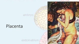 Placenta
 