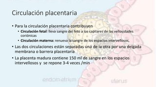 Circulación placentaria
• Para la circulación placentaria contribuyen
• Circulación fetal: lleva sangre del feto a los capilares de las vellosidades
coriónicas
• Circulación materna: renueva la sangre de los espacios intervellosos,
• Las dos circulaciones están separadas una de la otra por una delgada
membrana o barrera placentaria
• La placenta madura contiene 150 ml de sangre en los espacios
intervellosos y se repone 3-4 veces /min
 