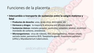 Funciones de la placenta
• Intercambio o transporte de sustancias entre la sangre materna y
fetal
• Productos de desecho: urea, ácido úrico, bilirrubina, etc
• Fármacos y drogas: la mayoría lo atraviesa por difusión simple
• Sustancias tóxicas: metales pesados, pesticidas, solventes, alcohol, nicotinam
monóxido de carbono, anestésicos
• Microorganismos: virus de rúbeola, HIV, citomegalovirus, Herpes simple,
varicela zoster, parvovirus B19, Toxoplasma gondii, treponema pallidum
(sífilis) y Mycobacterium tuberculosis.
 