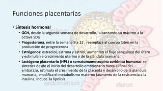 Funciones placentarias
• Síntesis hormonal
• GCH, desde la segunda semana de desarrollo, alcanzando su máximo a la
octava SDG
• Progesterona, entre la semana 9 a 12 , reemplaza al cuerpo lúteo en la
producción de progesterona
• Estrógenos: estradiol, estrona y estriol; aumentan el flujo sanguíneo del útero
y estimulan e crecimiento uterino y de la glándula mamaria.
• Lactógeno placentario (HPL) o somatomamotropina coriónica humana: se
sintetiza desde el inicio del desarrollo embrionario hasta el final del
embarazo, estimula el crecimiento de la placenta y desarrollo de la glándula
mamaria,, modifica el metabolismo materno (aumento de la resistencia a la
insulina, induce la lipolisis
 