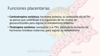 Funciones placentarias
• Corticotropina coriónica: hormona proteica, es semejante ala ACTH,
se piensa que contribuye a la regulación de los niveles de
glucocorticoides para regular el metabolismo materno
• Tirotropina coriónica: semejante a la TSH, estimula la secreción de
hormonas tiroideas maternas, para regular su metabolismo
 
