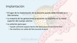Implantación
• El lugar de la implantación de la placenta queda determinado en a
2da semana.
• La mayoría de las gestaciones la paciente se implanta en la mitad
superior del cuerpo uterino
• Lo anterior para que:
• Quede suficiente espacio dentro del útero para el crecimiento fetal
• No interfiera con salida del feto durante el parto
 