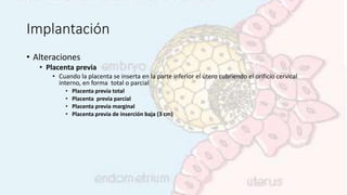 Implantación
• Alteraciones
• Placenta previa
• Cuando la placenta se inserta en la parte inferior el útero cubriendo el orificio cervical
interno, en forma total o parcial
• Placenta previa total
• Placenta previa parcial
• Placenta previa marginal
• Placenta previa de inserción baja (3 cm)
 