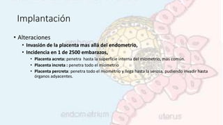 Implantación
• Alteraciones
• Invasión de la placenta mas allá del endometrio,
• Incidencia en 1 de 2500 embarazos,
• Placenta acreta: penetra hasta la superficie interna del miometrio, mas común.
• Placenta increta : penetra todo el miometrio
• Placenta percreta: penetra todo el miometrio y llega hasta la serosa, pudiendo invadir hasta
órganos adyacentes.
 