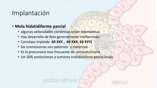 Implantación
• Mola hidatidiforme parcial
• algunas vellosidades coriónicas están edematosas
• Hay desarrollo de feto generalmente malformado
• Cariotipo triploide 69 XXY , 69 XXX, 69 XYY)
• los cromosomas son paternos y maternos
• Es la precursora mas frecuente de coriocarcinoma
• Un 10% evolucionan a tumores trofoblásticos gestacionals
 