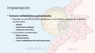 Implantación
• Tumores trofoblásticos gestacionales
• Procede no solo de la mola hidatiforme, si no también después de cualquier
suceso como
• Aborto
• Gestaciones ectópicas
• Embarazo de termino
• Los tumores comprenden
• Mola invasora
• Coriocarcinoma
• Tumor trofoblástico del lecho placentario
 