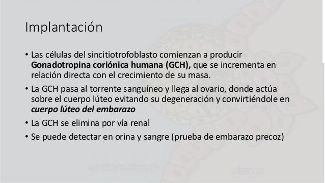 Implantación Y Placenta