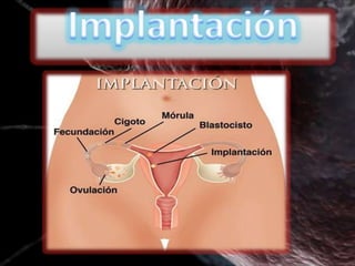 Implantacion embrilogia (langman)