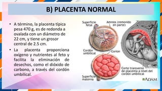 enfermeria IMPLANTACION DE LA PLACENTA.pptx