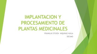IMPLANTACION Y
PROCESAMIENTO DE
PLANTAS MEDICINALES
FRANKLIN STEVEN NIQUINAS HUILA
DECIMO
 