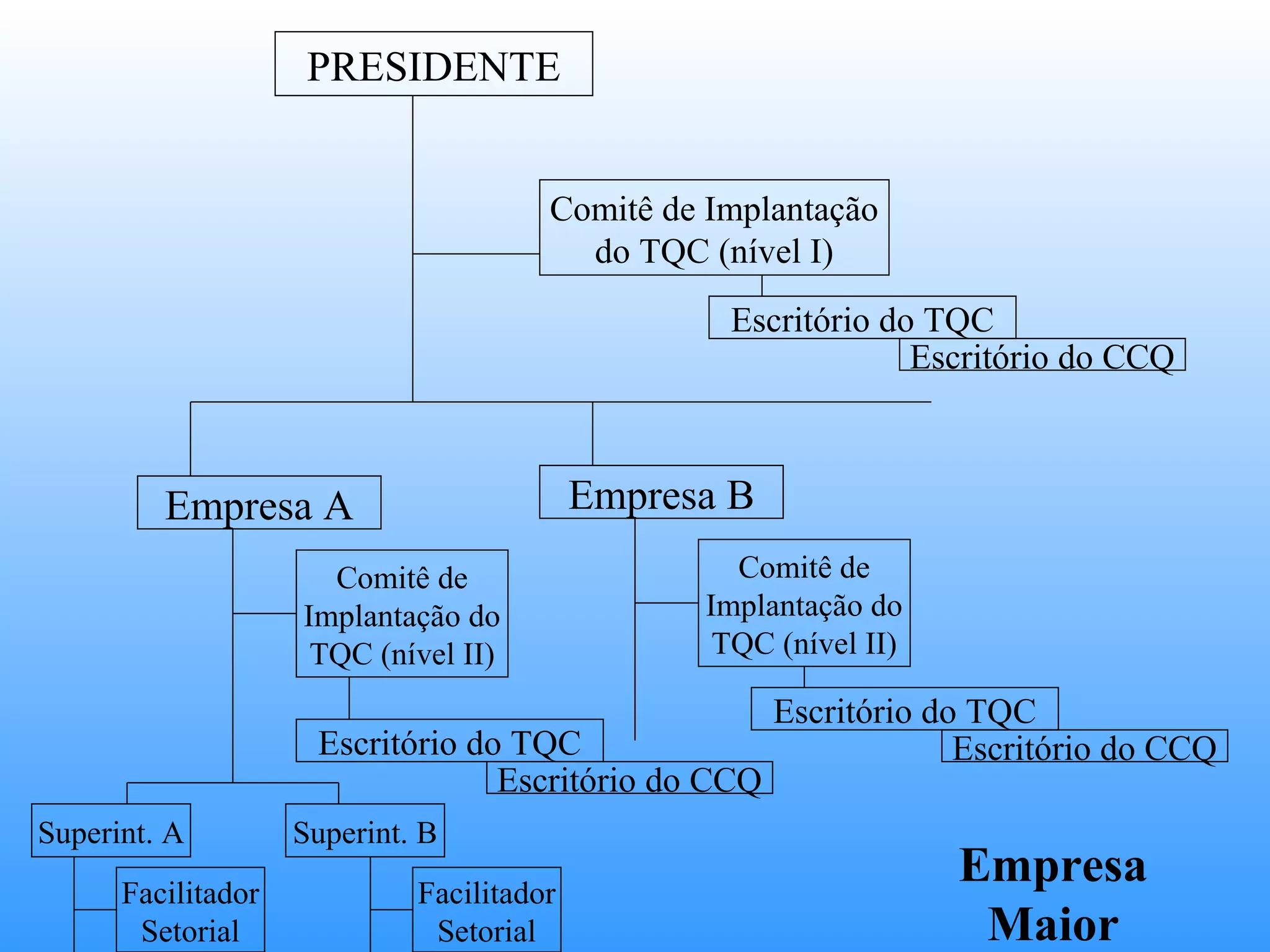 PRESIDENTE


                                       Comitê de Implantação
                                         do TQC (nível I)
                                                  Escritório do TQC
                                                               Escritório do CCQ



         Empresa A                         Empresa B
                      Comitê de                    Comitê de
                    Implantação do               Implantação do
                     TQC (nível II)               TQC (nível II)

                                                       Escritório do TQC
                     Escritório do TQC                              Escritório do CCQ
                                  Escritório do CCQ
Superint. A         Superint. B
      Facilitador            Facilitador
                                                                   Empresa
       Setorial               Setorial                              Maior
 
