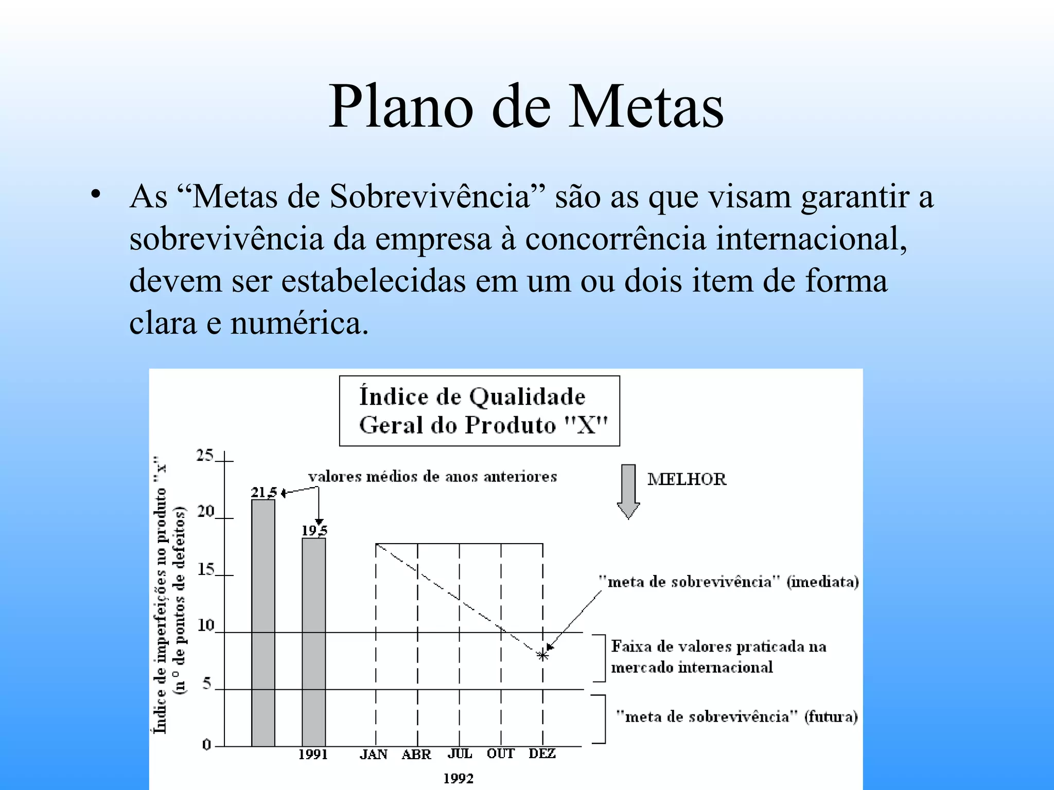 Plano de Metas
• As “Metas de Sobrevivência” são as que visam garantir a
  sobrevivência da empresa à concorrência internacional,
  devem ser estabelecidas em um ou dois item de forma
  clara e numérica.
 