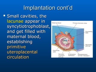 Comprehensive Overview of Human Fertilization, Cleavage, and ...
