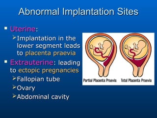 Comprehensive Overview of Human Fertilization, Cleavage, and ...