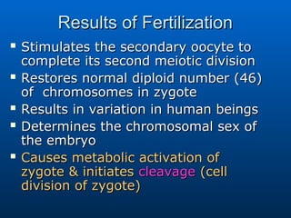 Comprehensive Overview of Human Fertilization, Cleavage, and ...