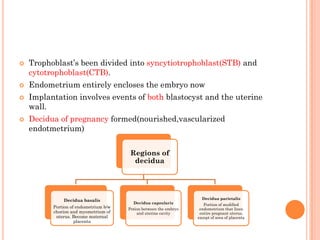  Trophoblast’s been divided into syncytiotrophoblast(STB) and
cytotrophoblast(CTB).
 Endometrium entirely encloses the embryo now
 Implantation involves events of both blastocyst and the uterine
wall.
 Decidua of pregnancy formed(nourished,vascularized
endotmetrium)
Regions of
decidua
Decidua basalis
Portion of endometrium b/w
chorion and myometrium of
uterus. Become maternal
placenta
Decidua capsularis
Potion between the embryo
and uterine cavity
Decidua parietalis
Portion of modified
endometrium that lines
entire pregnant uterus,
except of area of placenta
 