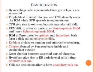 GASTRULATION
 By morphogenetic movements three germ layers are
separated
 Trophoblast divided into two, and CTB directly cover
the ICM while STB spreads in endometrium.
 CTB give rise to extra-embryonic mesoderm(EEM).
 EEM diff. to outer or parietal or Somatopleuric EEM
and inner Splanchnopleuric EEM.
 ICM differentiated to epiblast and hypoblast, both
form a disk called embryonic disk.
 Epiblast divides to amnion and embryonic ectoderm.
 Chorion formed by Somatopleure inside and
trophoblast outside
 Later chorion becomes essential part of placenta.
 Hypoblast give rise to EE endodermal cells lining
primary yolk sac.
 Yolk sac become smaller to form secondary yolk sac
 