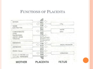 FUNCTIONS OF PLACENTA
 