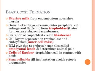BLASTOCYST FORMATION
 Uterine milk from endometrium nourishes
morula
 Growth of embryo increase, outer peripheral cell
enlarge and flatten to form trophoblast(Later
form extra embryonic membranes.
 Secretion of trophoblast create blastocoel
 Cell layers separated in trophoblast and
embryoblast(inner cell mass).
 ICM give rise to embryo hence also called
embryonal knob & determines animal pole
 Cells of Rauber- trophoblast cell in contact with
knob
 Zona pellucida till implantation avoids ectopic
pregnancies
 