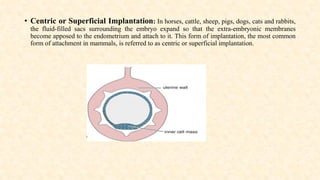 • Centric or Superficial Implantation: In horses, cattle, sheep, pigs, dogs, cats and rabbits,
the fluid‐filled sacs surrounding the embryo expand so that the extra‐embryonic membranes
become apposed to the endometrium and attach to it. This form of implantation, the most common
form of attachment in mammals, is referred to as centric or superficial implantation.
 