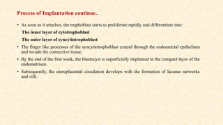 Process of Implantation continue..
• As soon as it attaches, the trophoblast starts to proliferate rapidly and differentiate into:
The inner layer of cytotrophoblast
The outer layer of syncytiotrophoblast
• The finger like processes of the syncytiotrophoblast extend through the endometrial epithelium
and invade the connective tissue.
• By the end of the first week, the blastocyst is superficially implanted in the compact layer of the
endometrium.
• Subsequently, the uteroplacental circulation develops with the formation of lacunar networks
and villi.
 