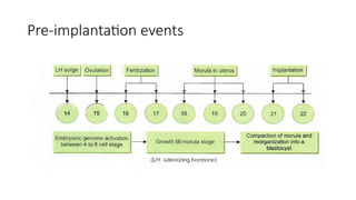 Comprehensive Overview of Human Embryo Implantation Process and ...