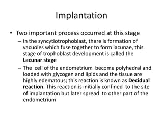 Implantation
• Two important process occurred at this stage
– In the syncytiotrophoblast, there is formation of
vacuoles which fuse together to form lacunae, this
stage of trophoblast development is called the
Lacunar stage
– The cell of the endometrium become polyhedral and
loaded with glycogen and lipids and the tissue are
highly edematous; this reaction is known as Decidual
reaction. This reaction is initially confined to the site
of implantation but later spread to other part of the
endometrium

 