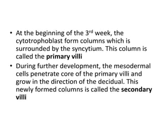 • At the beginning of the 3rd week, the
cytotrophoblast form columns which is
surrounded by the syncytium. This column is
called the primary villi
• During further development, the mesodermal
cells penetrate core of the primary villi and
grow in the direction of the decidual. This
newly formed columns is called the secondary
villi

 