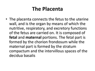 The Placenta
• The placenta connects the fetus to the uterine
wall, and is the organ by means of which the
nutritive, respiratory, and excretory functions
of the fetus are carried on. It is composed of
fetal and maternal portions. The fetal part is
formed by the chorion frondosum while the
maternal part is formed by the stratum
compactum and the intervillous spaces of the
decidua basalis

 