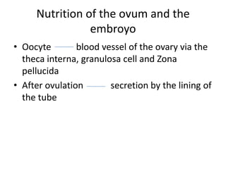 Nutrition of the ovum and the
embroyo
• Oocyte
blood vessel of the ovary via the
theca interna, granulosa cell and Zona
pellucida
• After ovulation
secretion by the lining of
the tube

 
