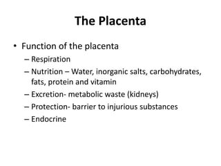 The Placenta
• Function of the placenta
– Respiration
– Nutrition – Water, inorganic salts, carbohydrates,
fats, protein and vitamin
– Excretion- metabolic waste (kidneys)
– Protection- barrier to injurious substances
– Endocrine

 