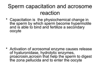 Comprehensive Overview of Implantation and Early Pregnancy Processes | PPTX