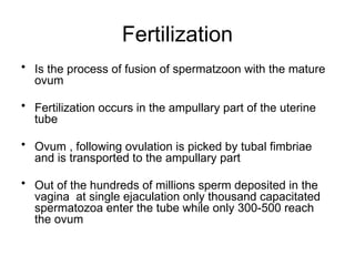 Comprehensive Overview of Implantation and Early Pregnancy Processes | PPTX