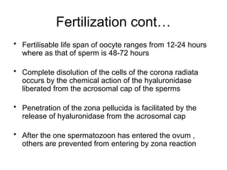 Comprehensive Overview of Implantation and Early Pregnancy Processes | PPTX