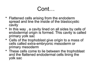 Comprehensive Overview of Implantation and Early Pregnancy Processes | PPTX