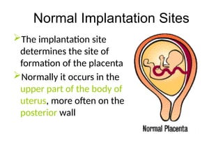 Comprehensive Overview of Implantation and Early Pregnancy Processes | PPTX