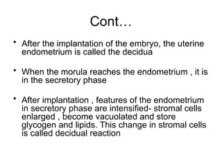 Comprehensive Overview of Implantation and Early Pregnancy Processes | PPTX