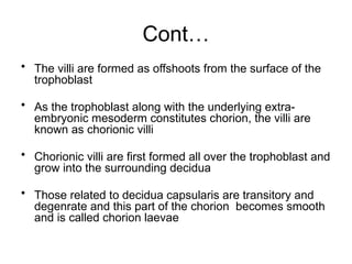 Comprehensive Overview of Implantation and Early Pregnancy Processes | PPTX