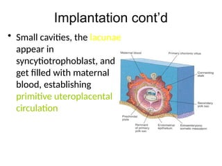 Comprehensive Overview of Implantation and Early Pregnancy Processes | PPTX