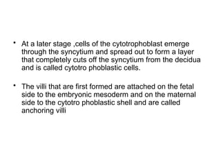 Comprehensive Overview of Implantation and Early Pregnancy Processes | PPTX