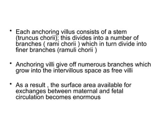 Comprehensive Overview of Implantation and Early Pregnancy Processes | PPTX