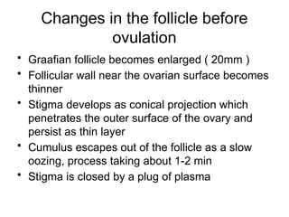Comprehensive Overview of Implantation and Early Pregnancy Processes | PPTX
