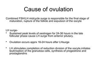 Comprehensive Overview of Implantation and Early Pregnancy Processes | PPTX