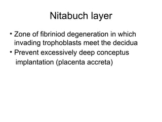 Nitabuch layer
• Zone of fibriniod degeneration in which
  invading trophoblasts meet the decidua
• Prevent excessively deep conceptus
   implantation (placenta accreta)
 