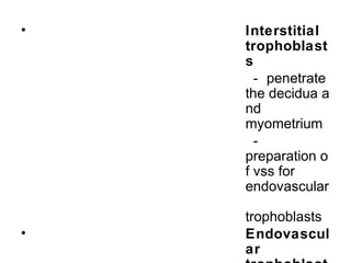 •   Interstitial
    trophoblast
    s
      - penetrate
    the decidua a
    nd
    myometrium
      -
    preparation o
    f vss for
    endovascular

    trophoblasts
•   Endovascul
    ar
 