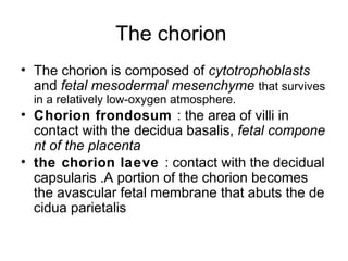 The chorion
• The chorion is composed of cytotrophoblasts
  and fetal mesodermal mesenchyme that survives
  in a relatively low-oxygen atmosphere.
• Chorion frondosum : the area of villi in
  contact with the decidua basalis, fetal compone
  nt of the placenta
• the chorion laeve : contact with the decidual
  capsularis .A portion of the chorion becomes
  the avascular fetal membrane that abuts the de
  cidua parietalis
 