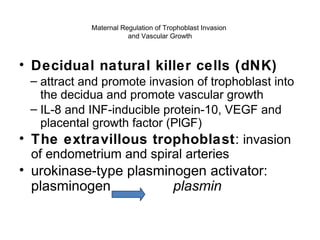 Maternal Regulation of Trophoblast Invasion
                       and Vascular Growth



• Decidual natural killer cells (dNK)
 – attract and promote invasion of trophoblast into
   the decidua and promote vascular growth
 – IL-8 and INF-inducible protein-10, VEGF and
   placental growth factor (PlGF)
• The extravillous trophoblast: invasion
 of endometrium and spiral arteries
• urokinase-type plasminogen activator:
  plasminogen           plasmin
 