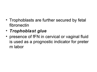• Trophoblasts are further secured by fetal
  fibronectin
• Trophoblast glue
• presence of fFN in cervical or vaginal fluid
  is used as a prognostic indicator for preter
  m labor
 