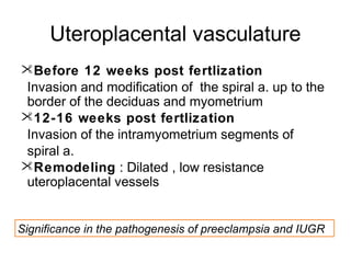 Uteroplacental vasculature
Before 12 weeks post fertlization
Invasion and modification of the spiral a. up to the
border of the deciduas and myometrium
12-16 weeks post fertlization
Invasion of the intramyometrium segments of
spiral a.
Remodeling : Dilated , low resistance
uteroplacental vessels


Significance in the pathogenesis of preeclampsia and IUGR
 